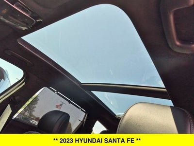 2023 Hyundai Santa Fe Calligraphy