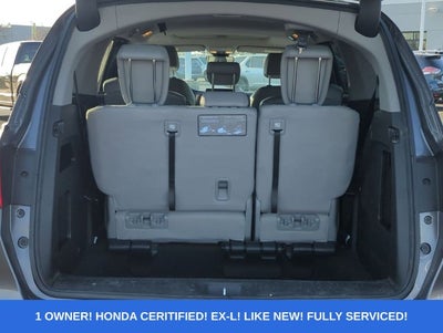 2024 Honda Odyssey EX-L
