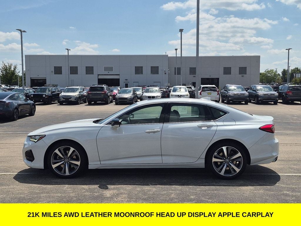 2023 Acura TLX Advance SH-AWD