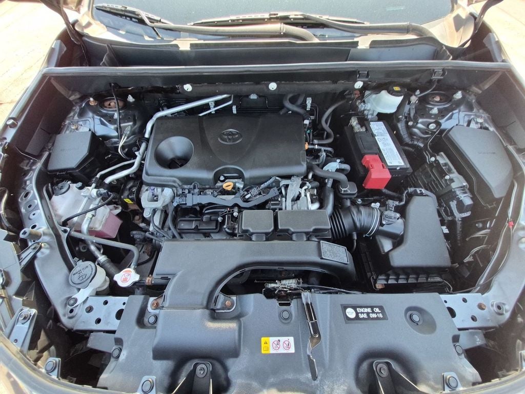 2019 Toyota RAV4 XLE