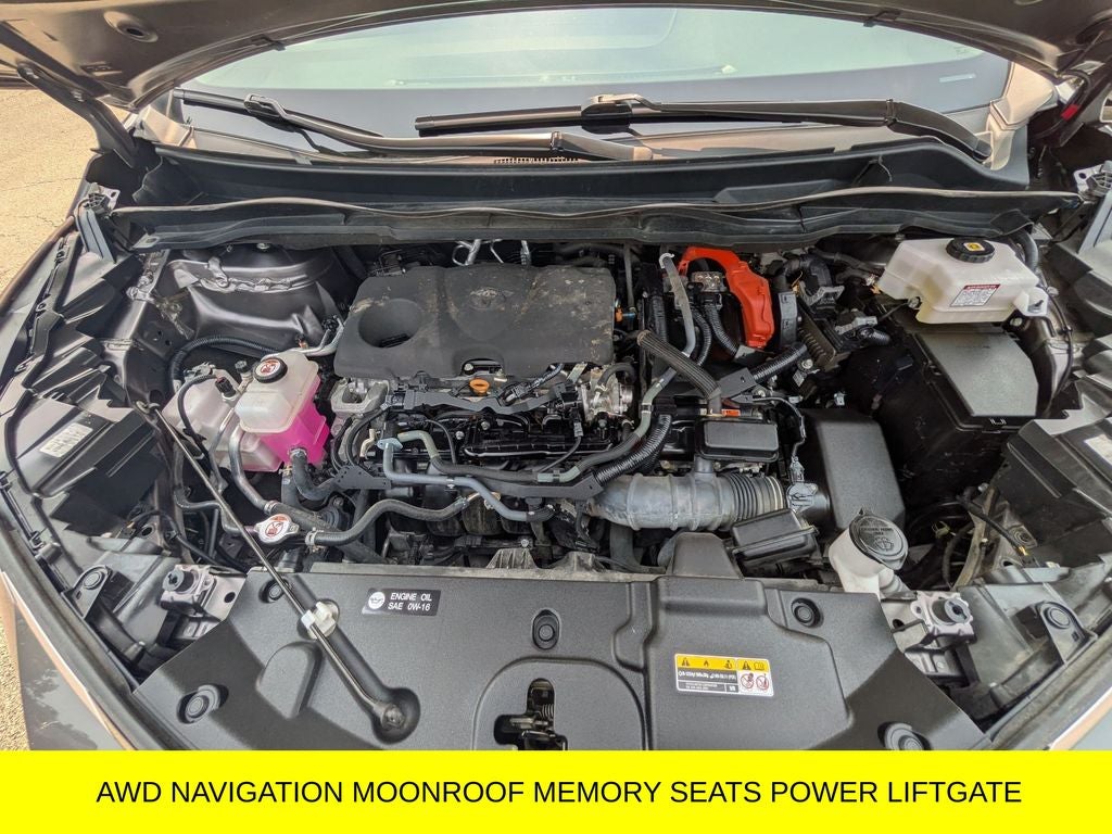 2023 Toyota Sienna Limited 7 Passenger